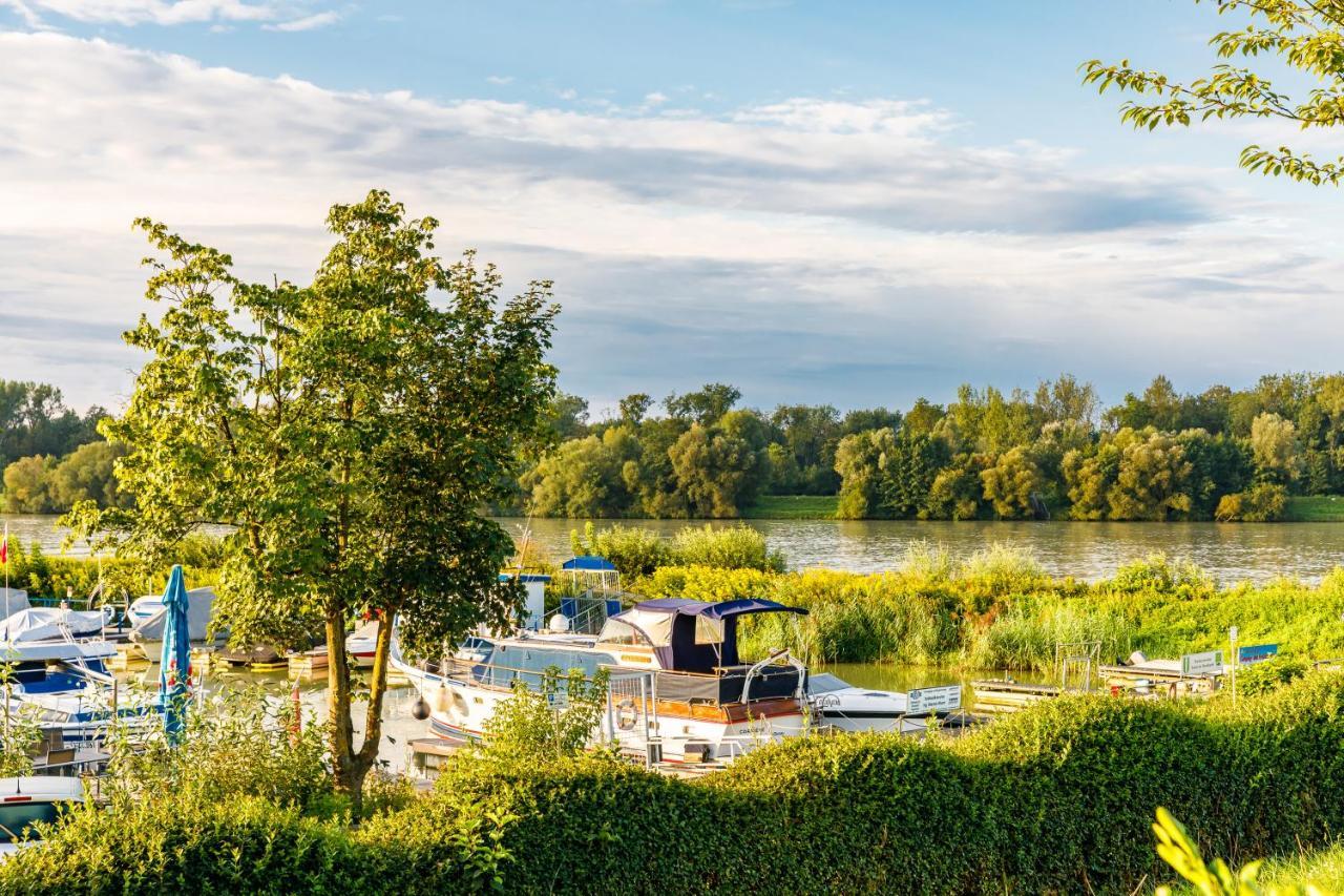 Camping & Pension Au An Der Donau Extérieur photo