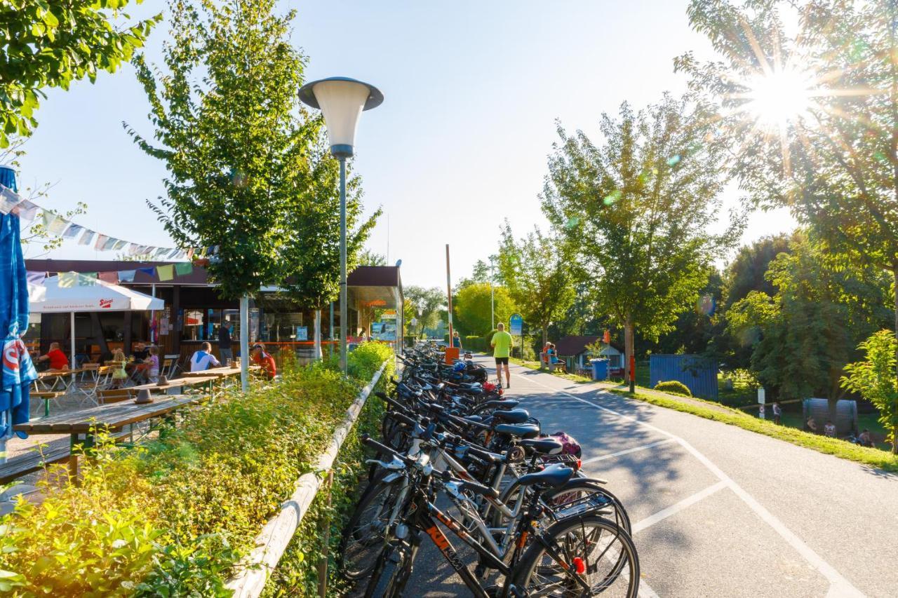 Camping & Pension Au An Der Donau Extérieur photo