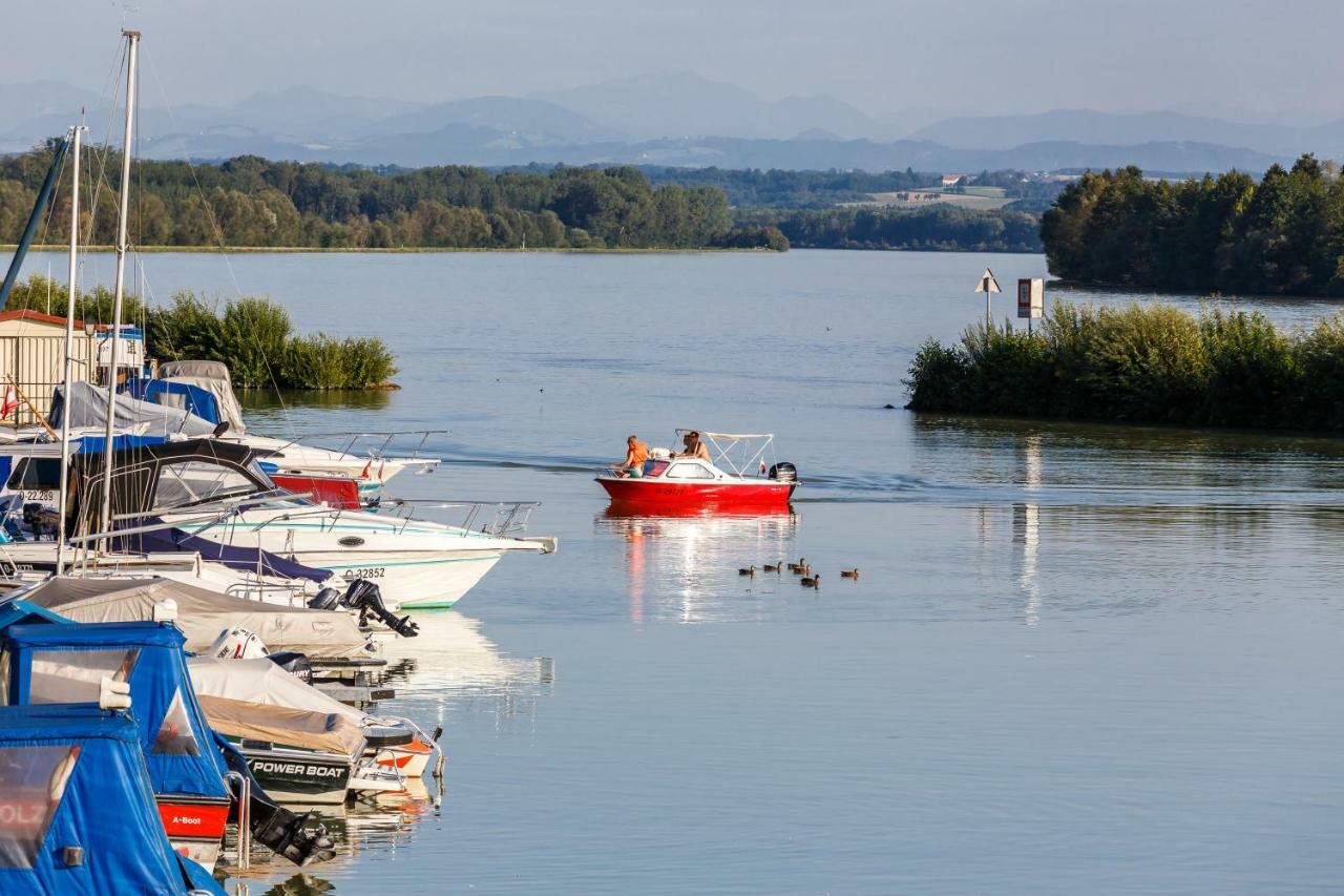 Camping & Pension Au An Der Donau Extérieur photo