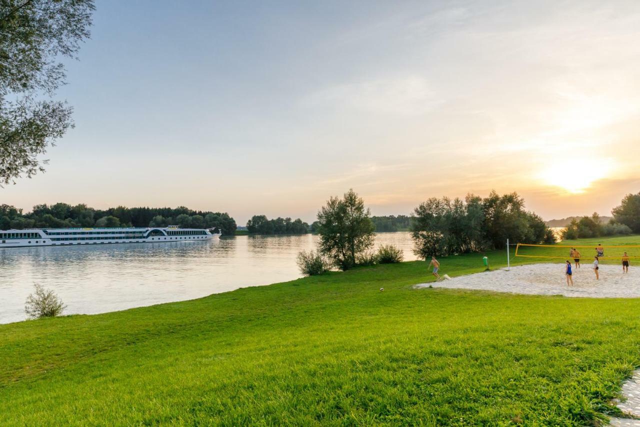 Camping & Pension Au An Der Donau Extérieur photo