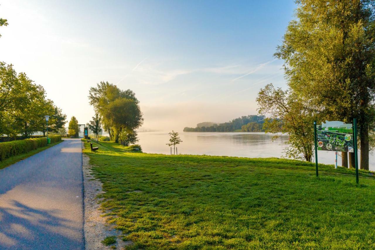 Camping & Pension Au An Der Donau Extérieur photo