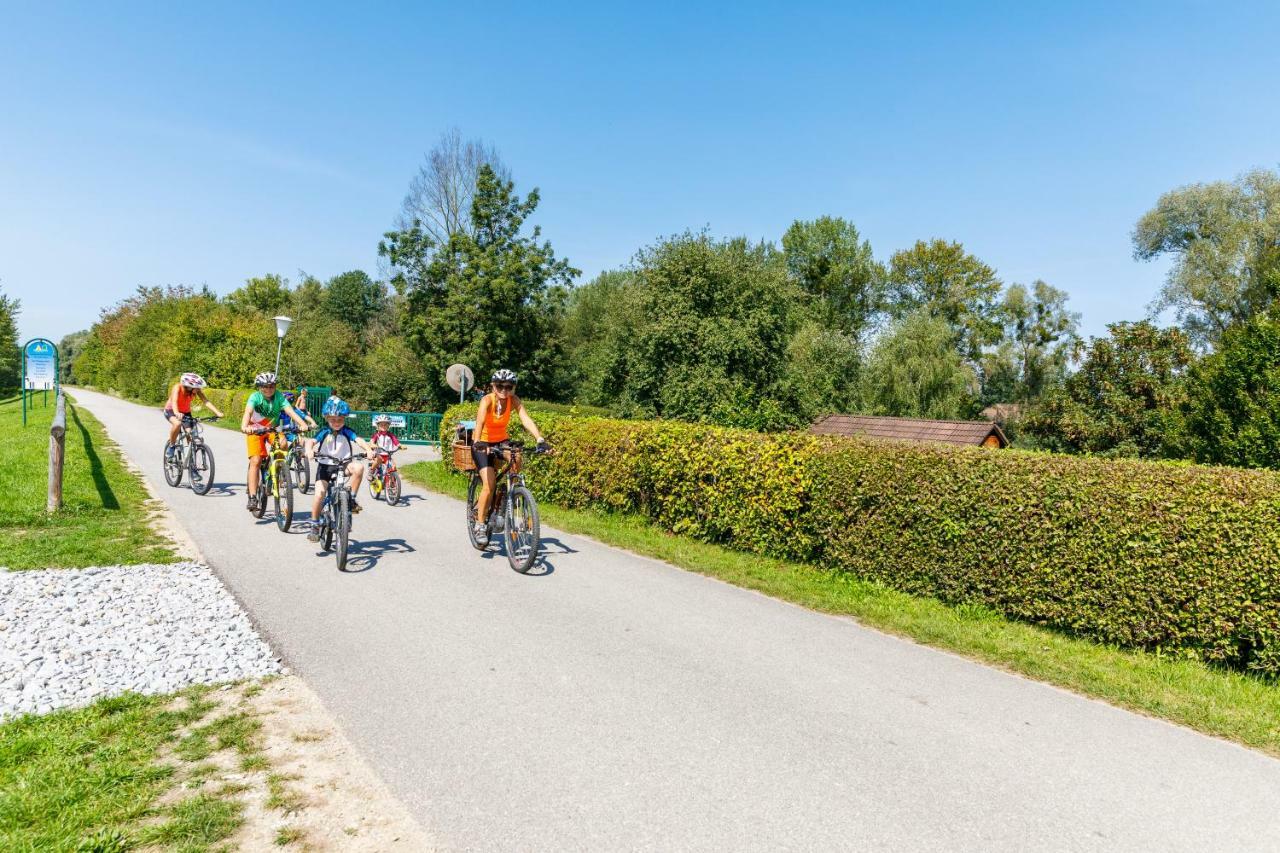 Camping & Pension Au An Der Donau Extérieur photo